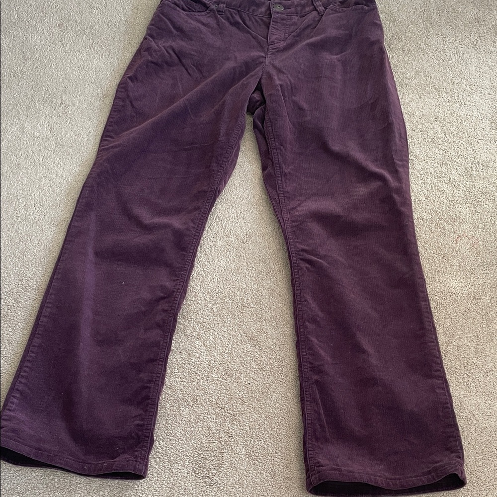 Deep Plum Corduroy jeans - boot cut